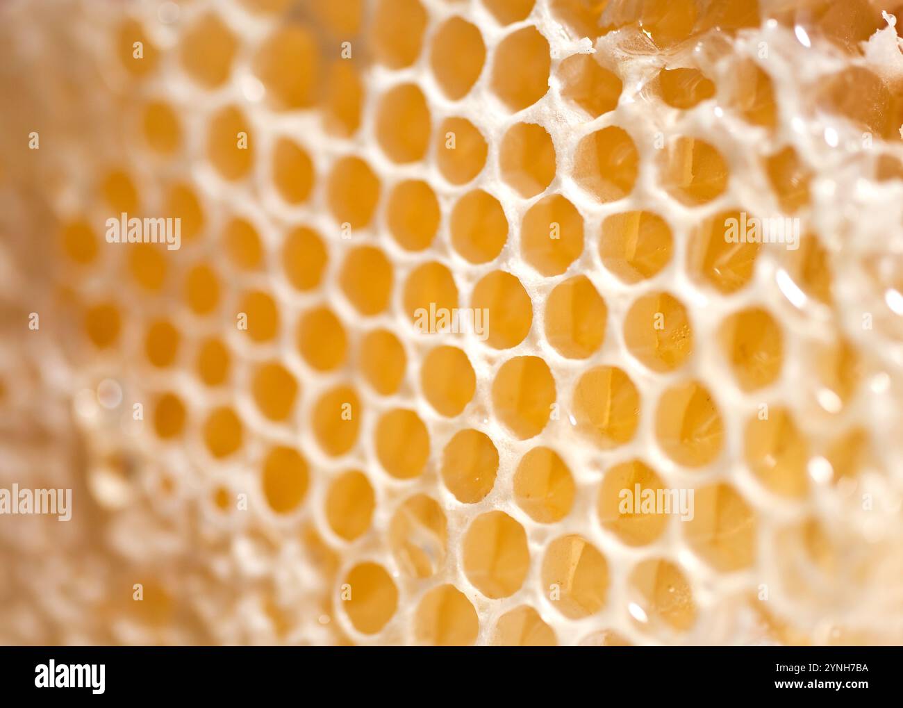 Polline hi-res stock photography and images - Alamy