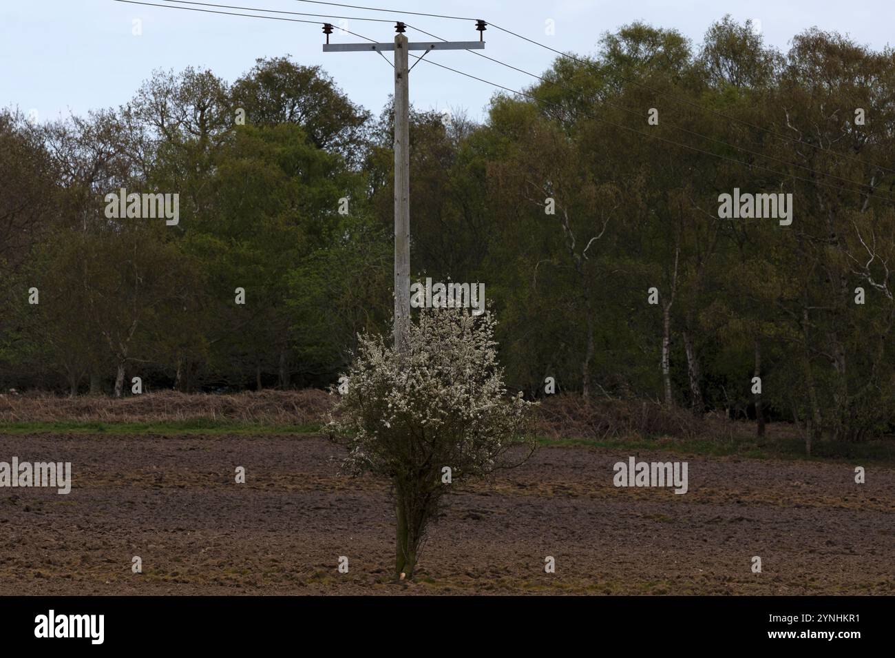 National grid electricity lines hi-res stock photography and images - Alamy