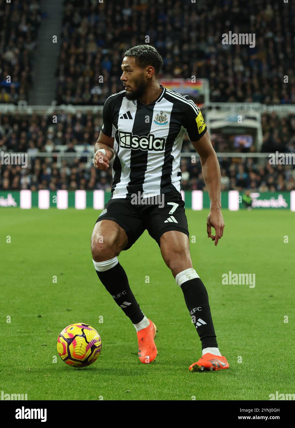 Joelinton newcastle united 2024 hi-res stock photography and
