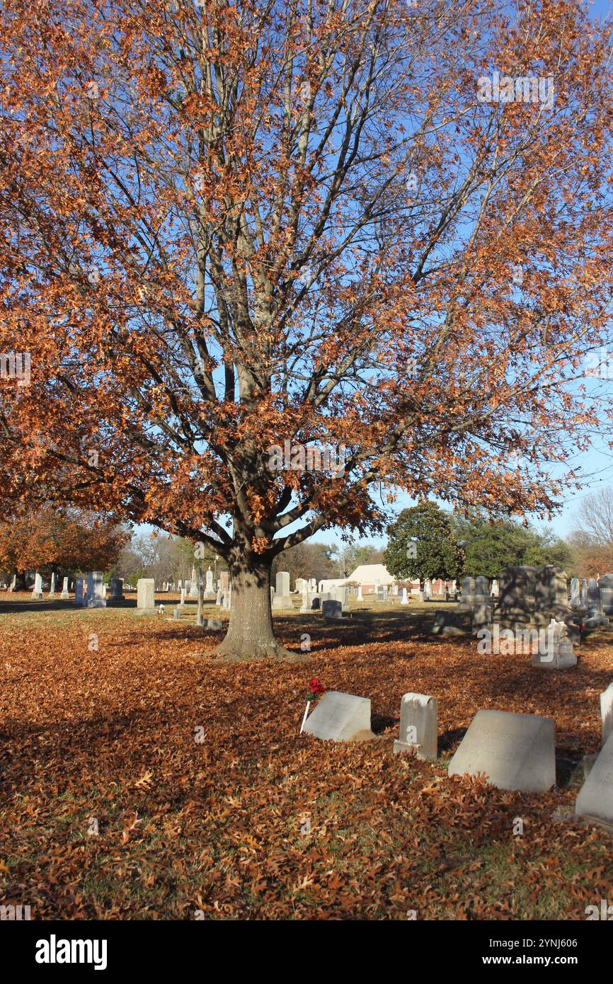 Oakwood cemetery hi-res stock photography and images - Alamy