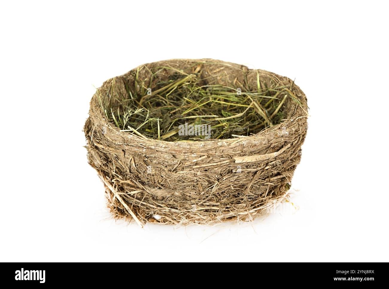 An empty bird's nest isolated on a white background Stock Photo - Alamy