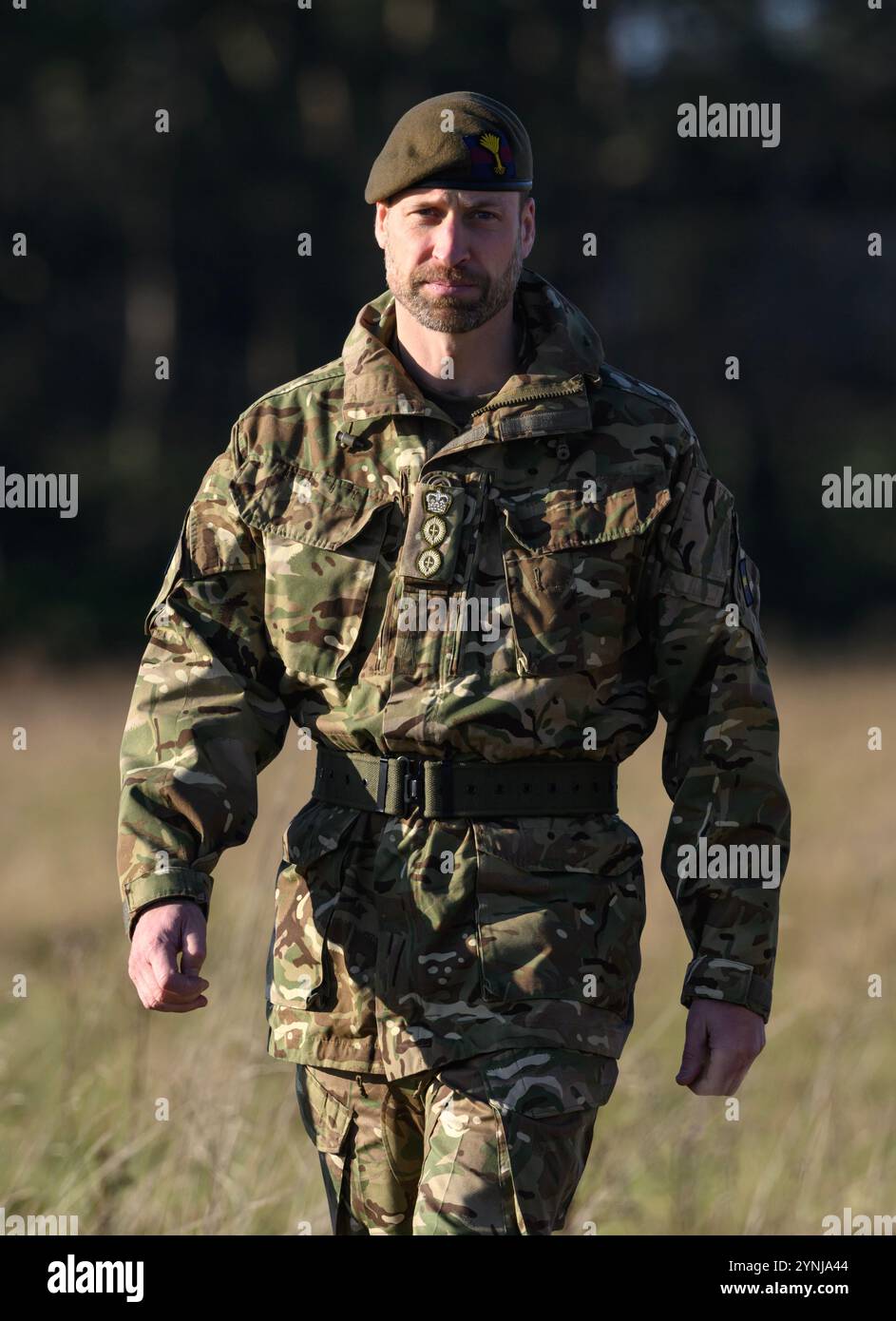 1st battalion welsh guards hi-res stock photography and images - Alamy