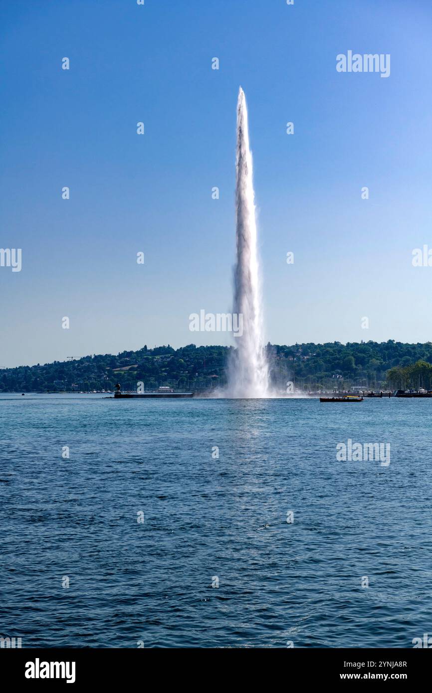 Suisse, Schweiz, Switzerland, canton de Genève, Kanton Genf, canton of Geneva, Genève, Genf, Geneva, ville, Stadt, city, town, , Lac Léman, Genfer See Stock Photo