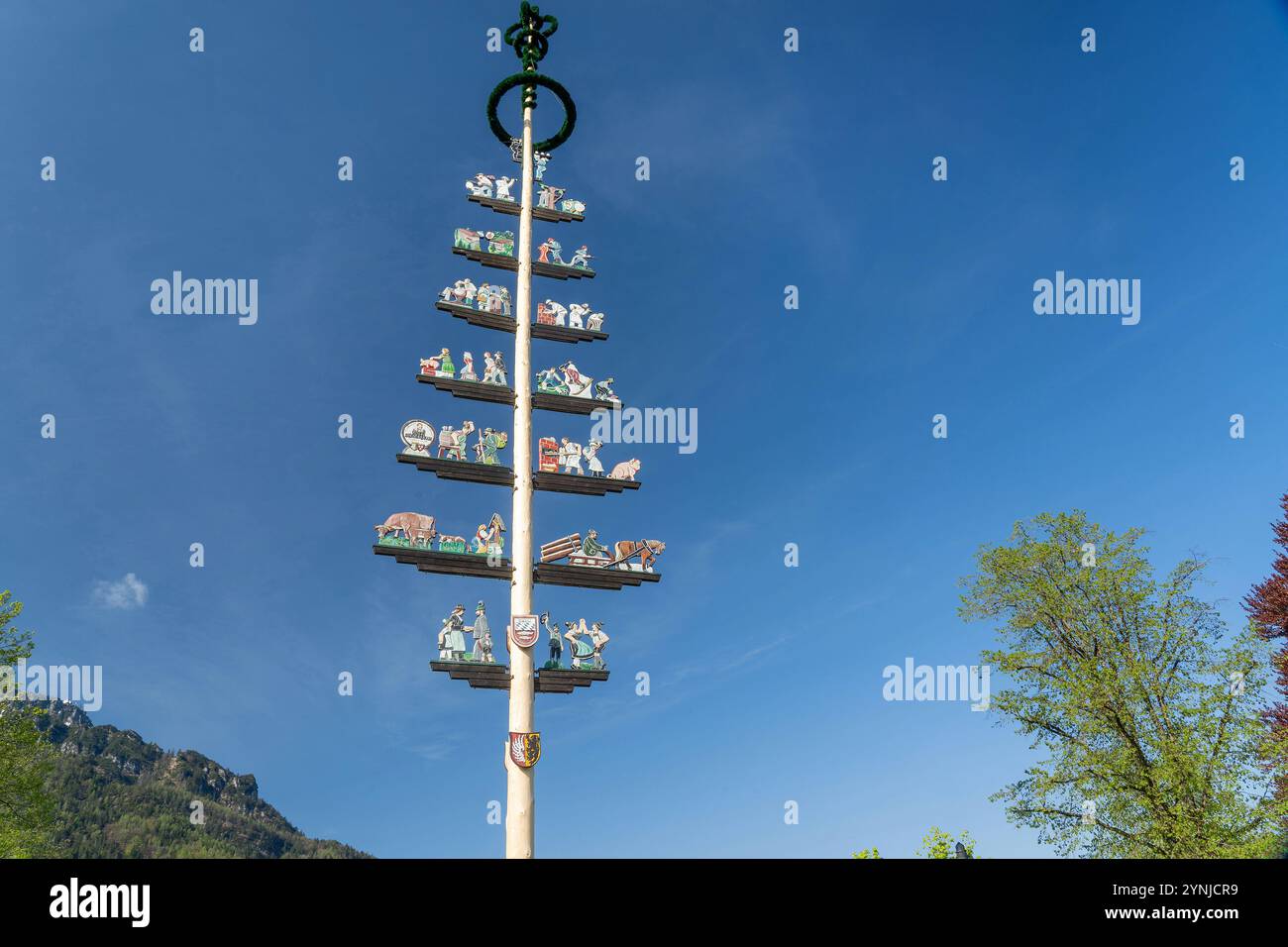 Maibaum in Bayerisch Gmain - Berchtesgadener Land - Bayern, der Maibaum wird am 1. Mai oder am Sonntag darauf aufgestellt und ist ein Sinnbild des auf Stock Photo