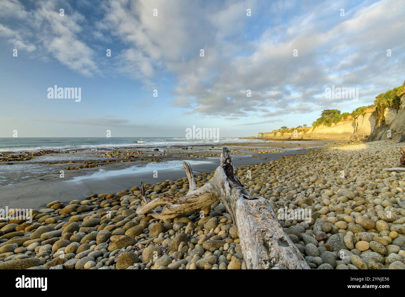 new-zealand-south-island-west-coast-westport-cape-foulwind-rocky