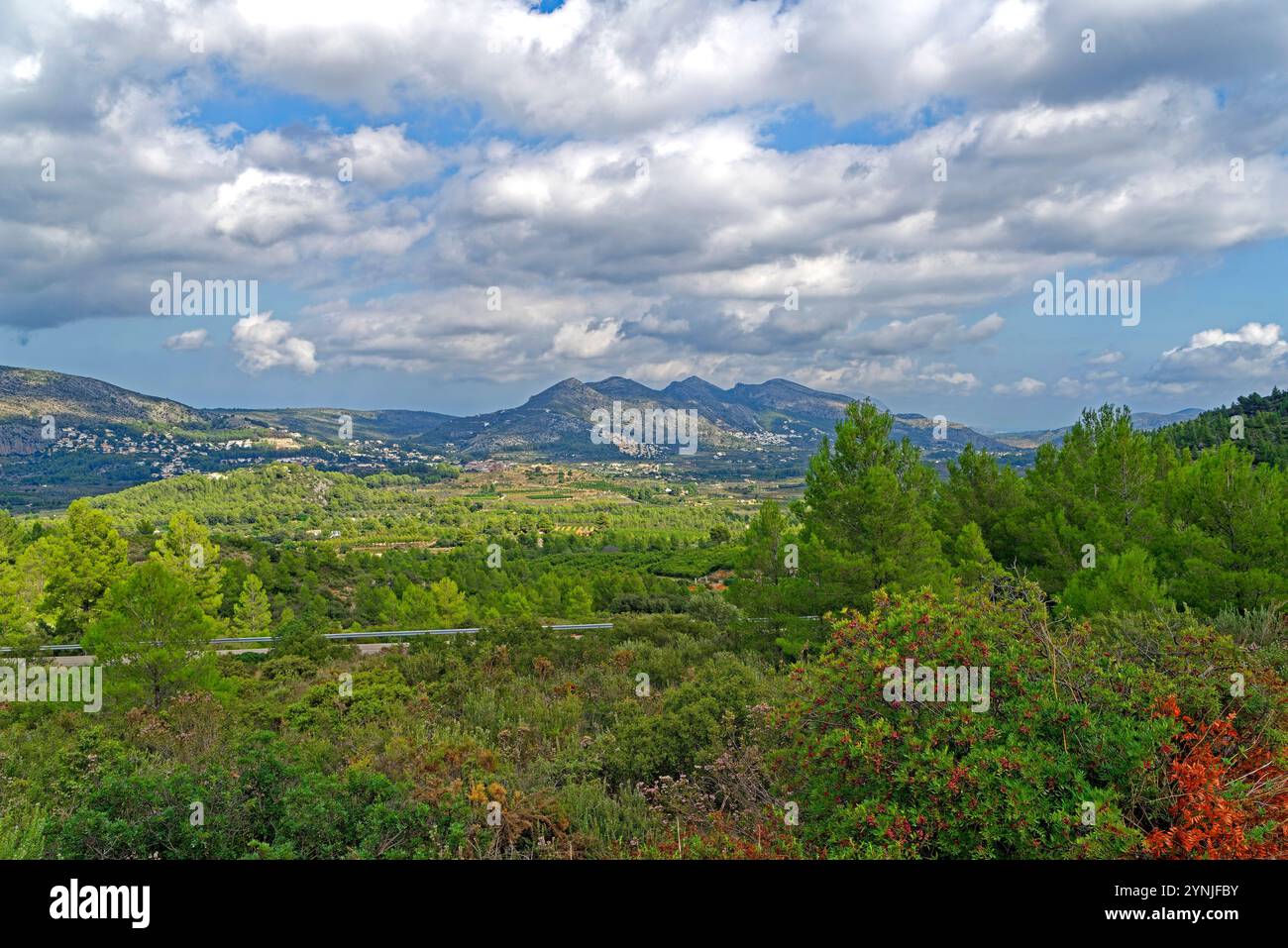 Carrascal hi-res stock photography and images - Alamy