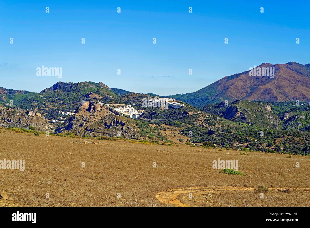 Los reales de sierra hi-res stock photography and images - Alamy