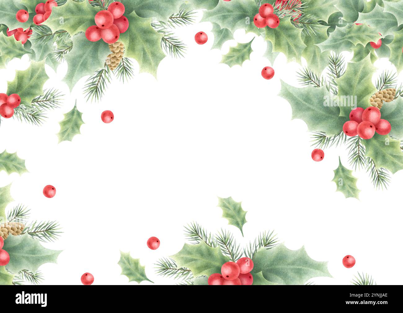Christmas card with holly, red berries, fir tree branches and cones ...