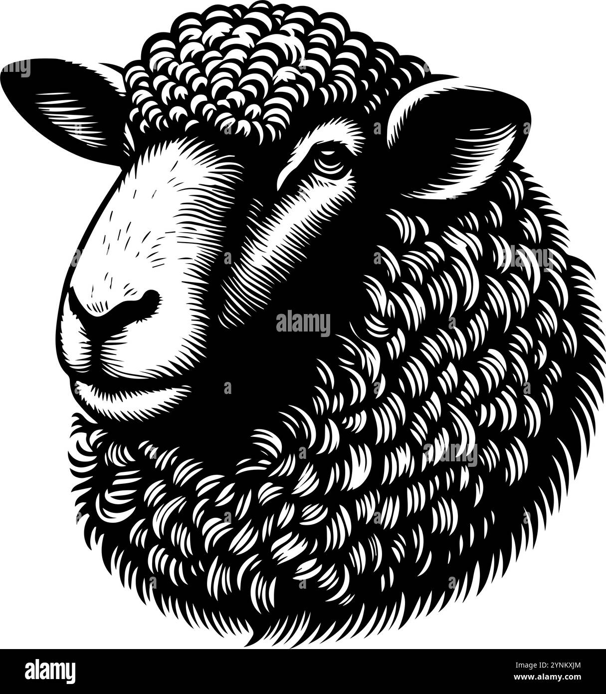 A close-up portrait of a ram. A black and white illustration Stock Vector