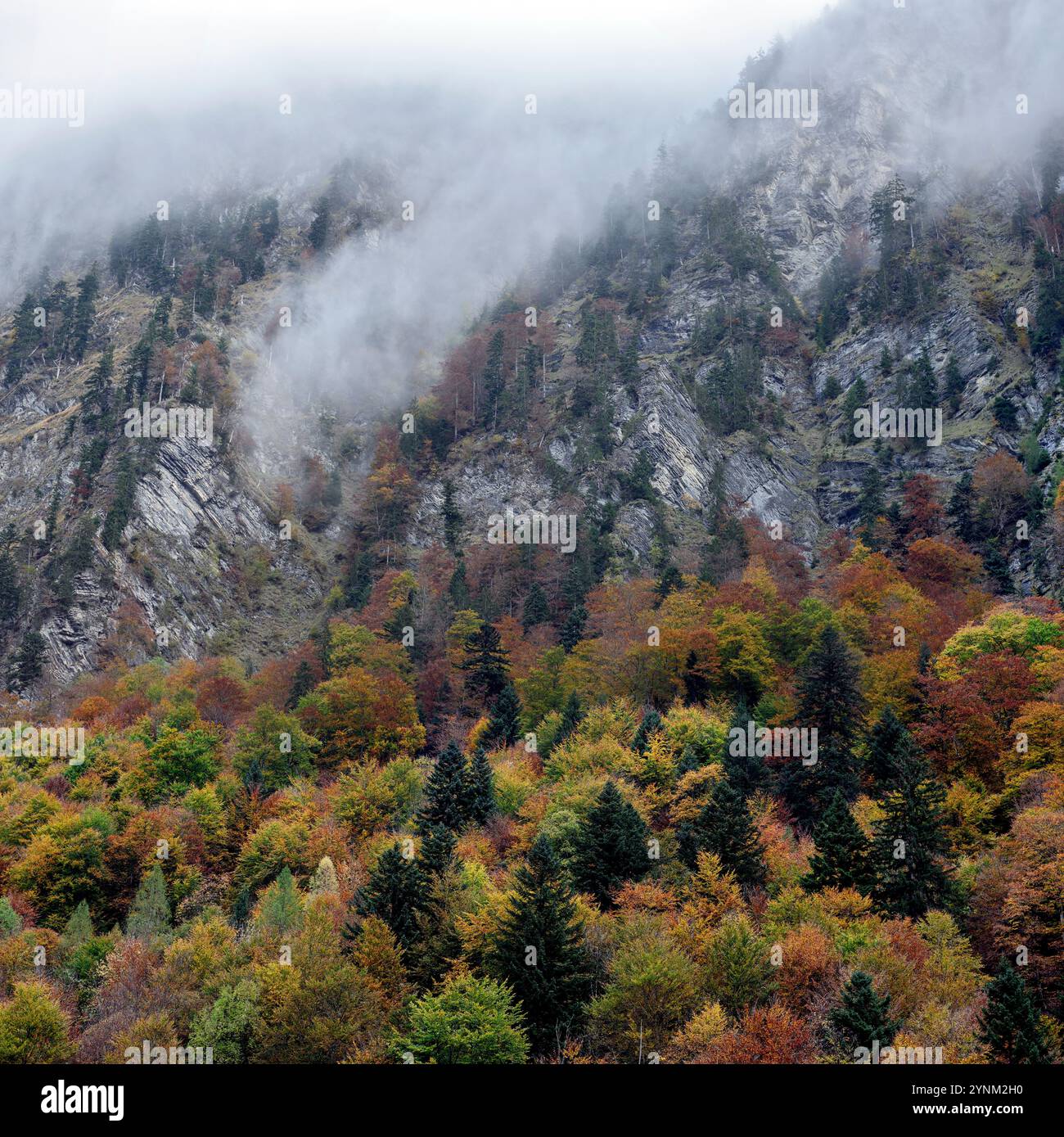 Fall foliage at Lauterbrunnen, Switzerland in October. Stock Photo
