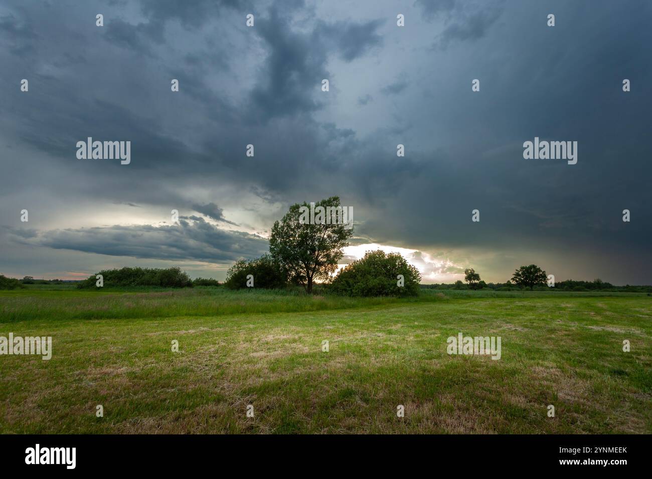 Stormy front clouds trees hi-res stock photography and images - Alamy