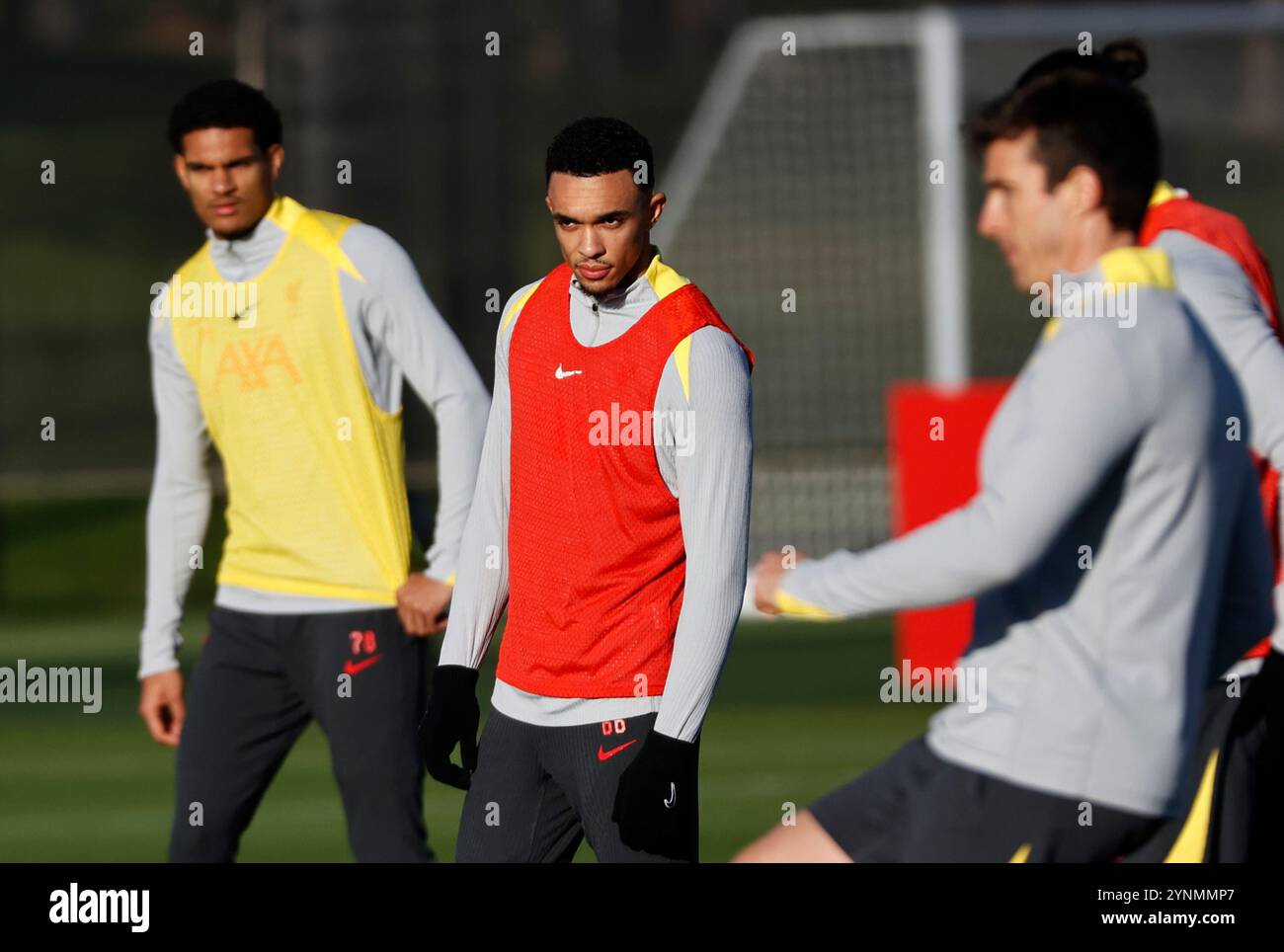 26th November 2024; Anfield and AXA Training Centre, Liverpool, Merseyside, England; Press conference and training session ahead of the UEFA Champions League match between Liverpool and Real Madrid in Liverpool, England; Trent Alexander-Arnold of Liverpool during today's open training session at the club's AXA Training Centre ahead of tomorrow's Champions League match against Real Madrid Stock Photo