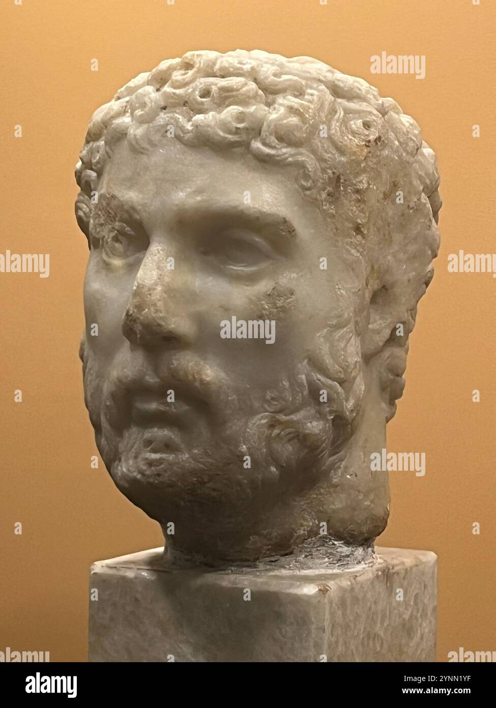 marble portrait, Roman Emperor, Emperor Hadrian (117-138), marble statue, marble head, 2nd-3rd Century, Archaeological museum Sofia Bulgaria, Balkans - Smartphone Captured Stock Image