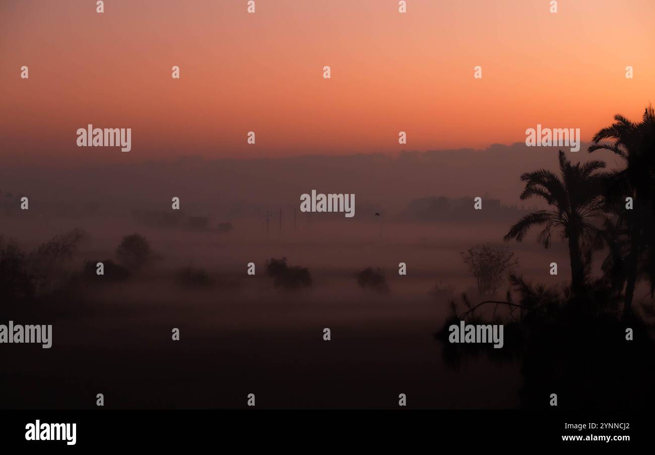 Landscape of a Garden in a Foggy Morning Stock Photo - Alamy