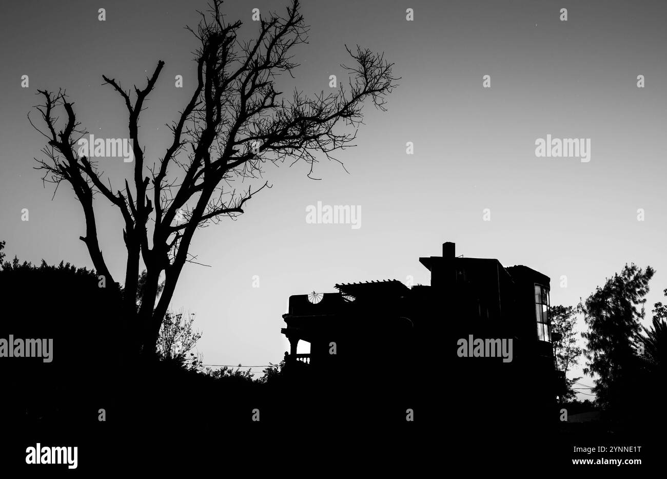 Fairytale tree house Black and White Stock Photos & Images - Alamy