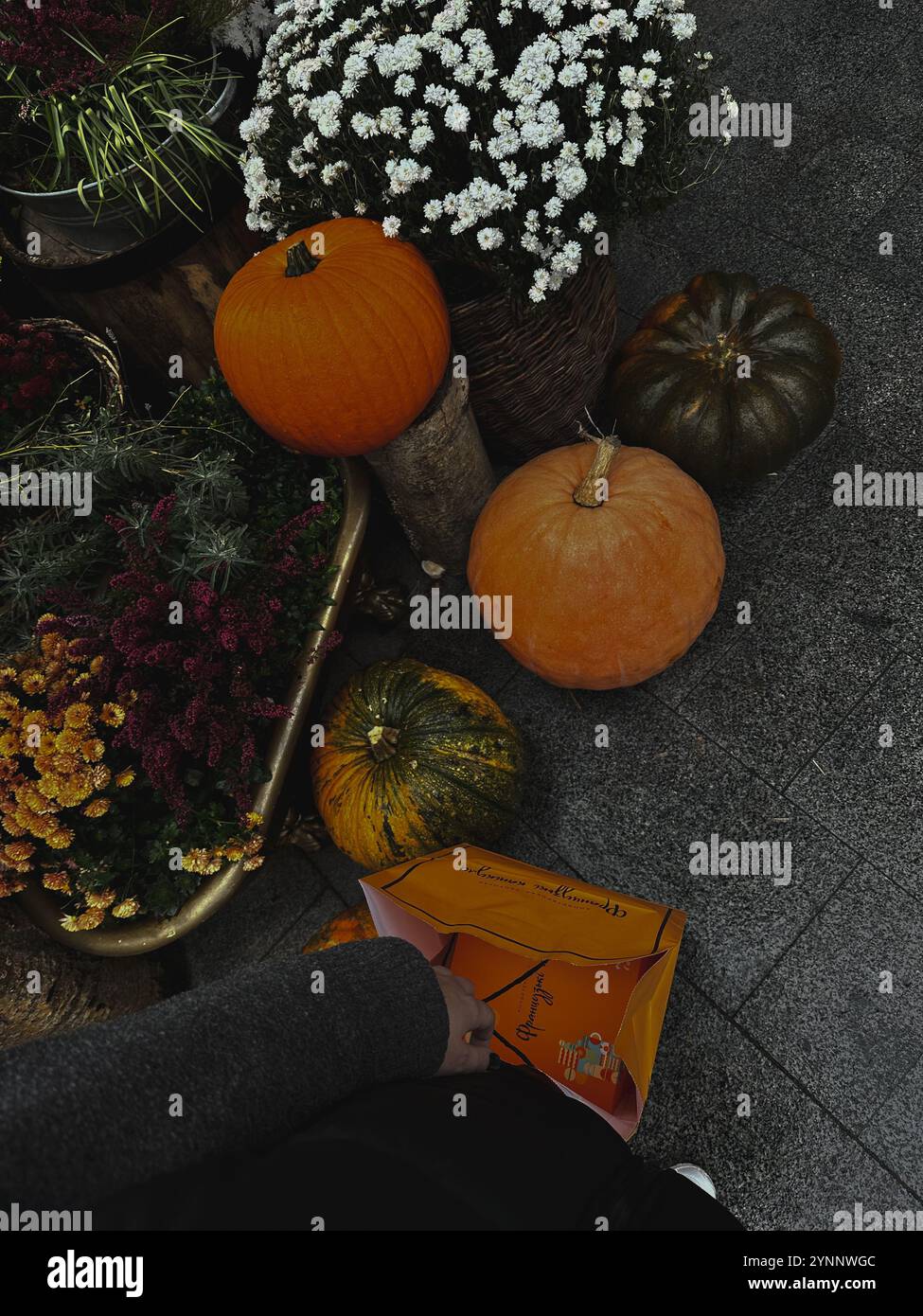 Ukraine 2024: A look at something old, something beautiful, something colorful. Light can be found even in the darkest of times. - Smartphone Captured Stock Image