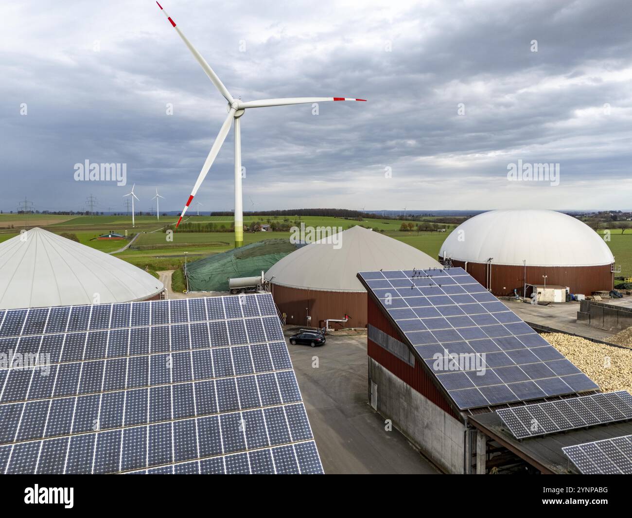 Biogas plant produces gas from biomass, electricity is generated in combined heat and power plants with the biogas produced and sold to companies in t Stock Photo