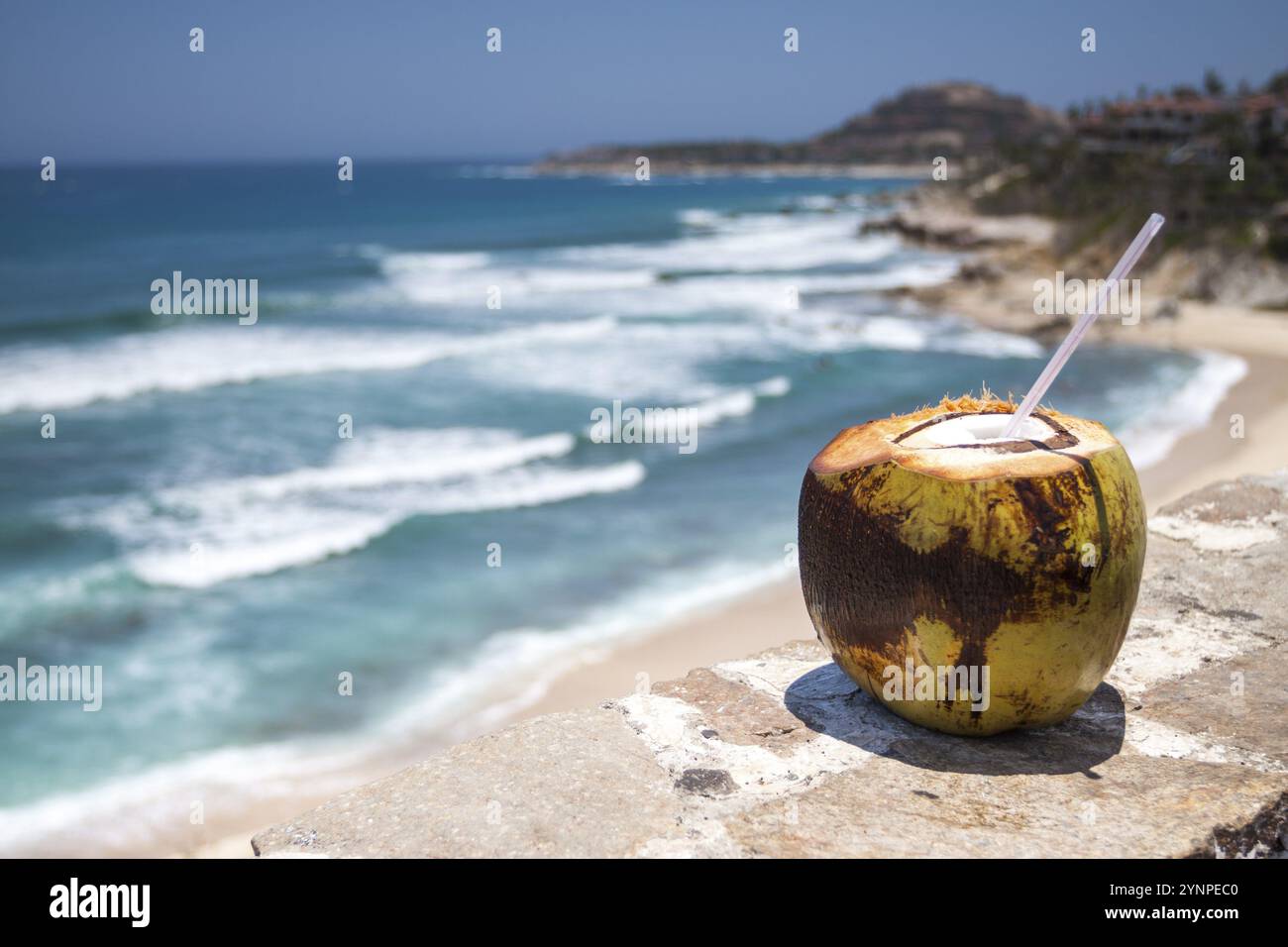 Fresh coconut with a straw set against the vibrant blue waves of the sea. Cabos San Lucas, Baja California Sur. Mexico Stock Photo