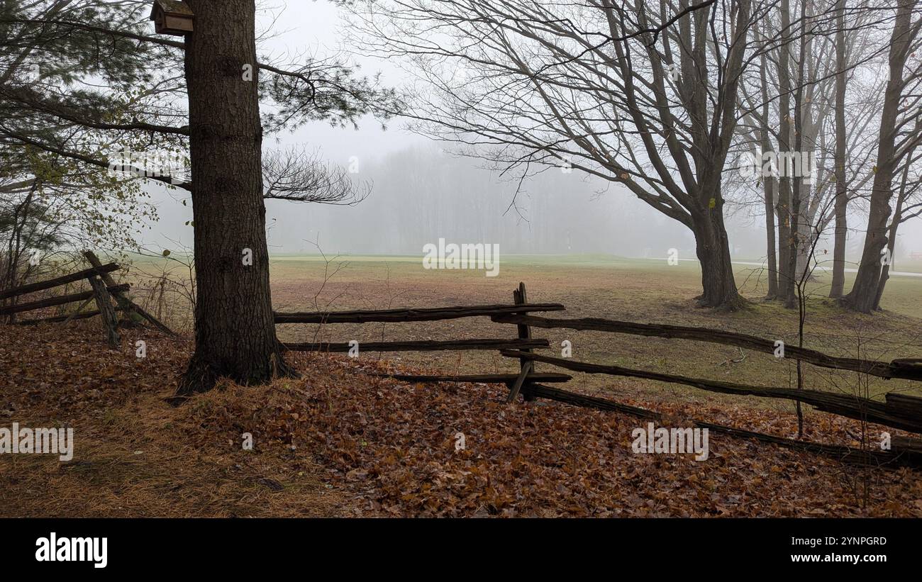 Misty Morning - Smartphone Captured Stock Image