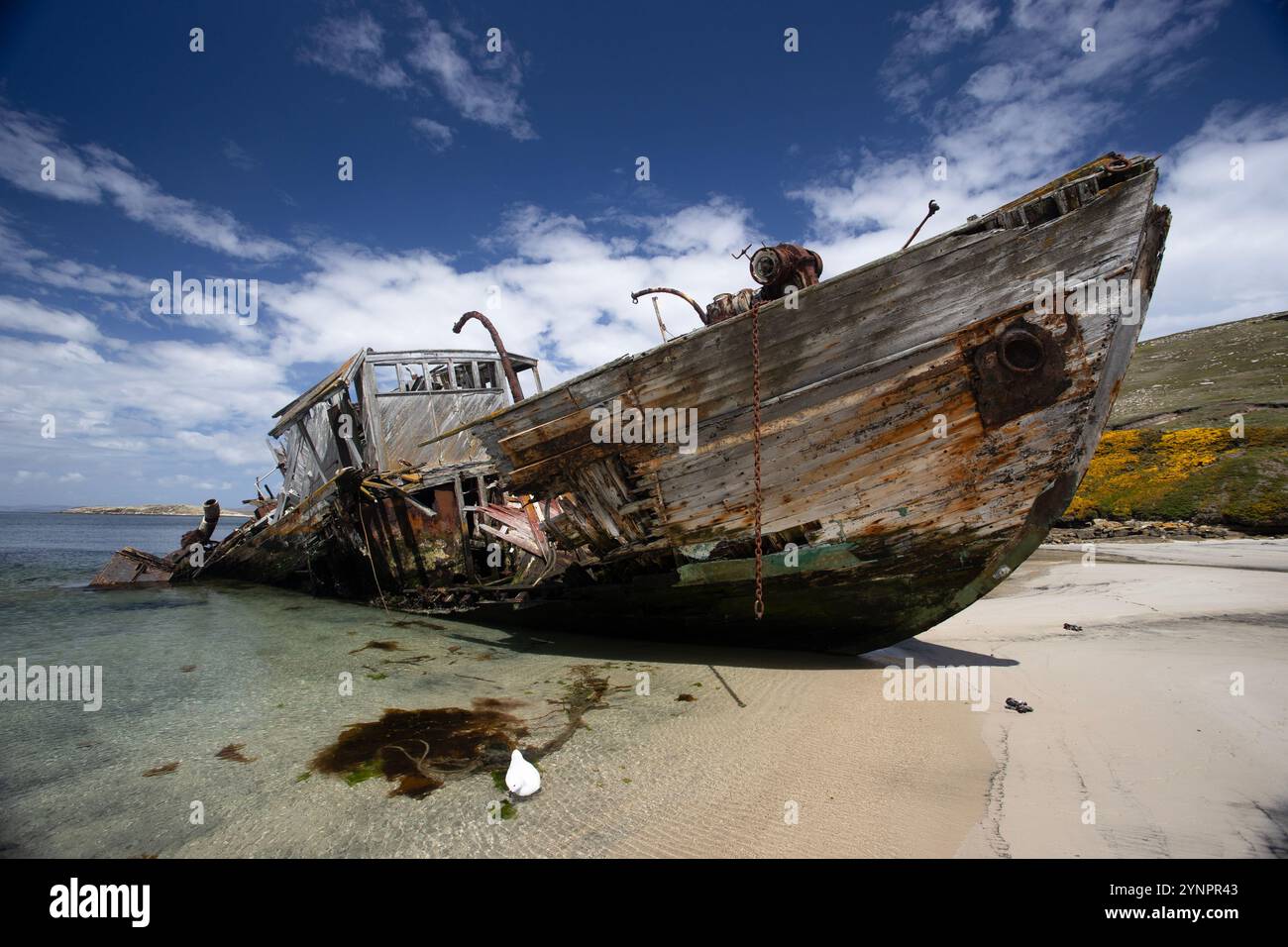 Wreck of HMCS Protector III on a beach at the settlement at New Island, Falkland Islands. Stock Photo