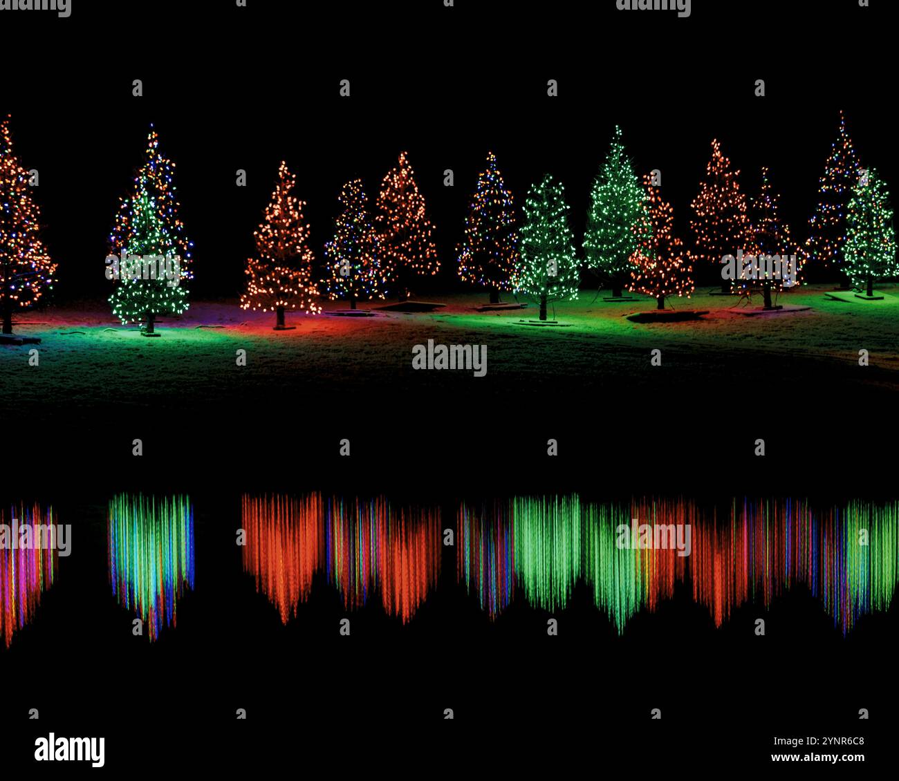 Christmas tree tunnel hi-res stock photography and images - Alamy