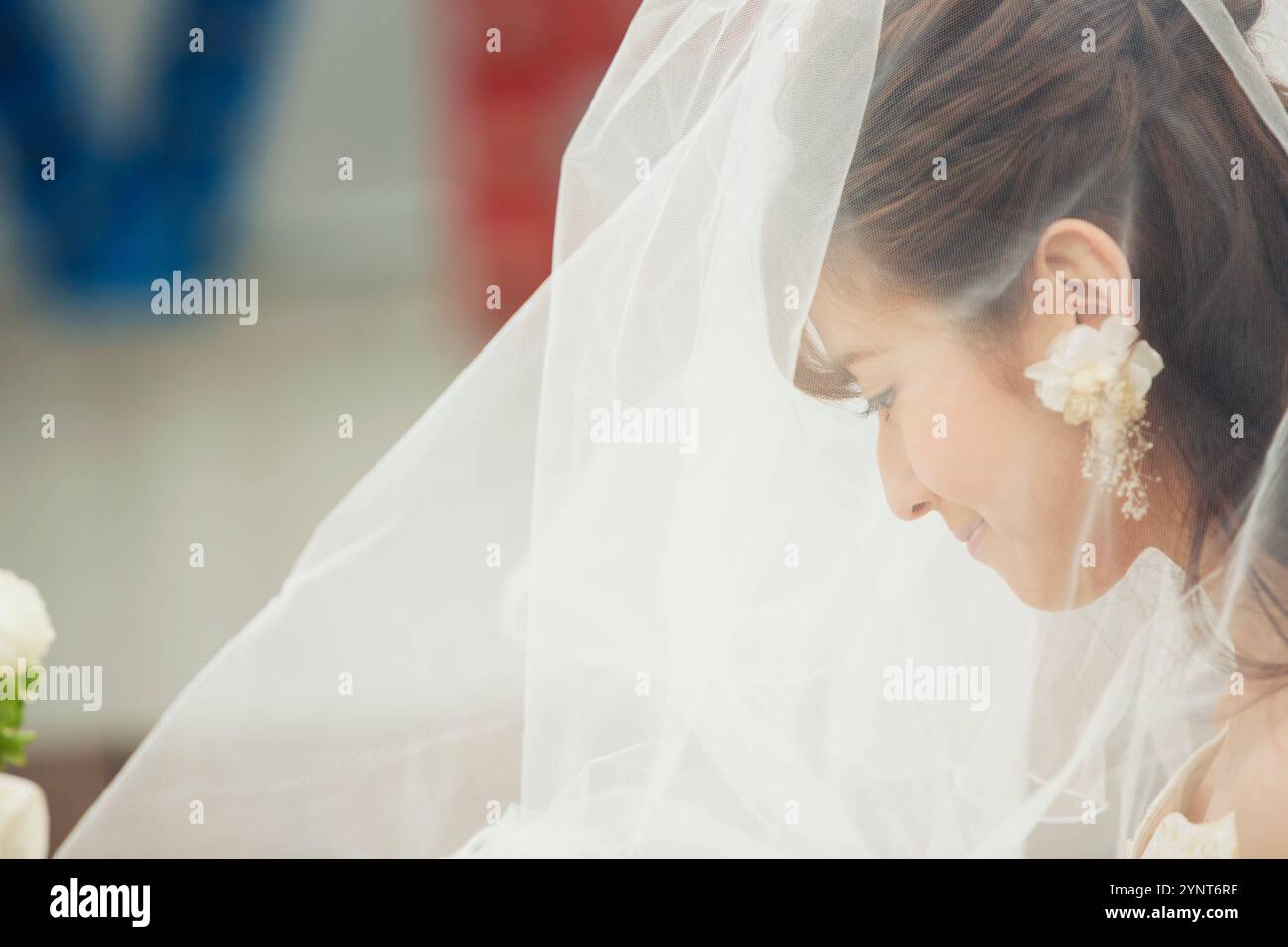 Bride wearing veil hi-res stock photography and images - Alamy