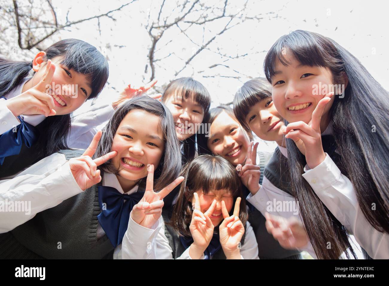 Schoolgirls study school in hi-res stock photography and images - Alamy