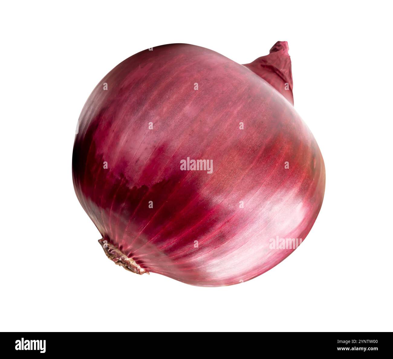 Top view of big red or purple onion bulb is isolated on white ...