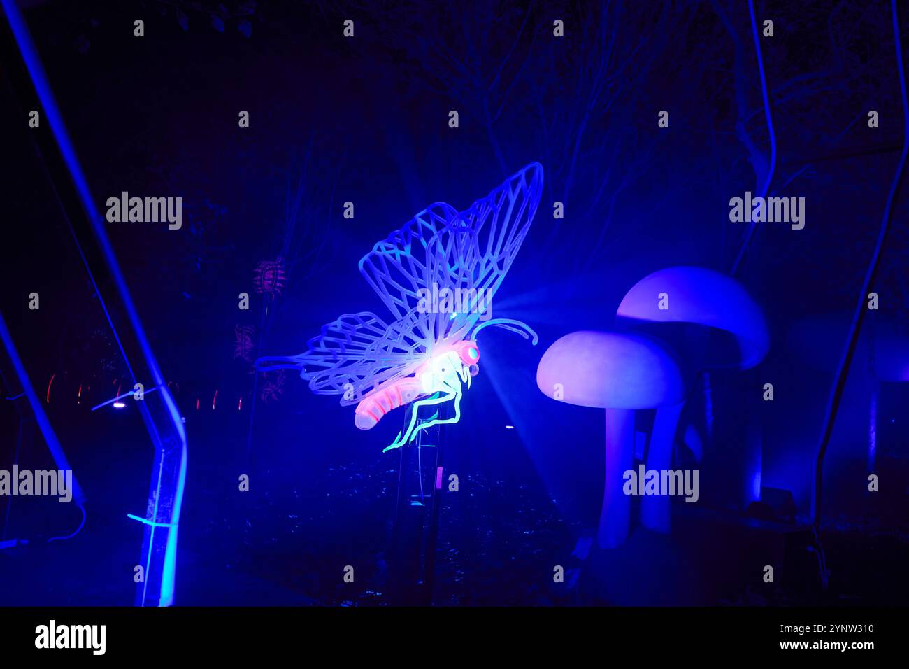 Madrid, Spain. 26th Nov, 2024. The Inauguration Ceremony of Naturaleza Encendida takes place in Madrid, Spain, on November 26, 2024. (Photo by Hazhard Espinoza Vallejos/NurPhoto) Credit: NurPhoto SRL/Alamy Live News Stock Photo