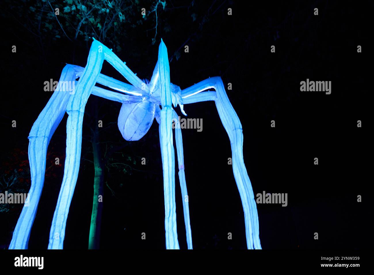 Madrid, Spain. 26th Nov, 2024. The Inauguration Ceremony of Naturaleza Encendida takes place in Madrid, Spain, on November 26, 2024. (Photo by Hazhard Espinoza Vallejos/NurPhoto) Credit: NurPhoto SRL/Alamy Live News Stock Photo