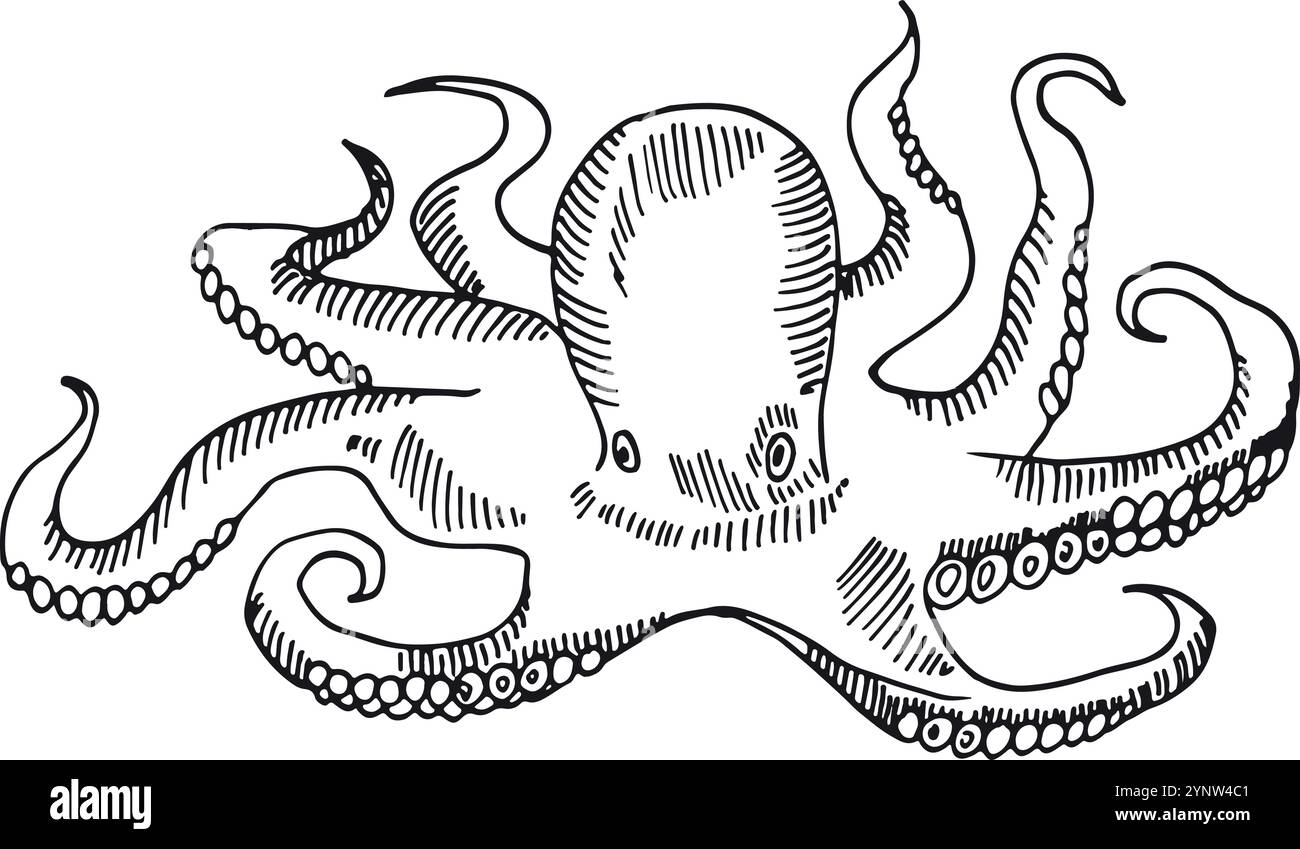 A black and white drawing of an octopus with its tentacles spread out ...
