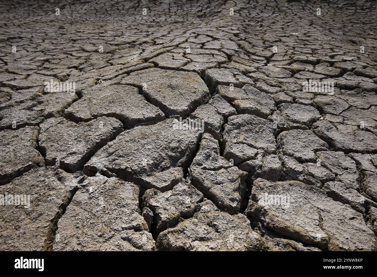 Climate warming dry chapped land Stock Photo - Alamy