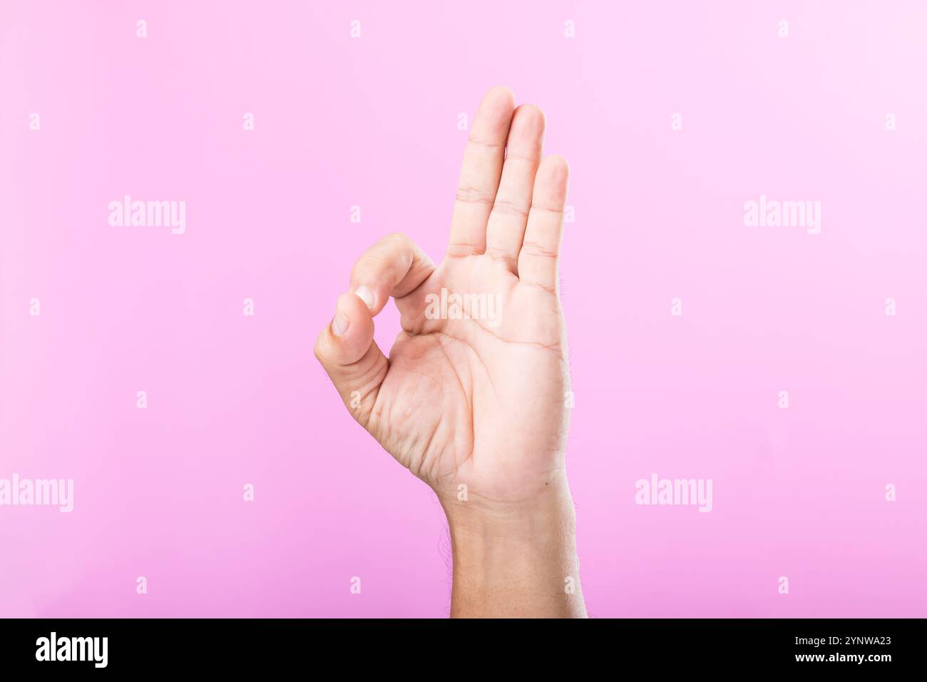 Pinck Hand Hand displays various gestures, including a fist, open palm, and raised ...
