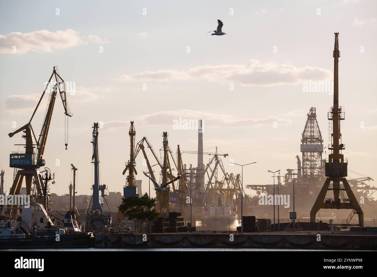 Silhouettes of cranes and cargo ships in a commercial port, at sunset ...
