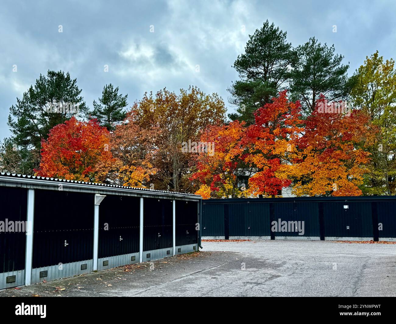 Autumn Colors by Finnish Garages  Vibrant red and orange trees brighten the parking area, blending nature and urban life in Finland - Smartphone Captured Stock Image