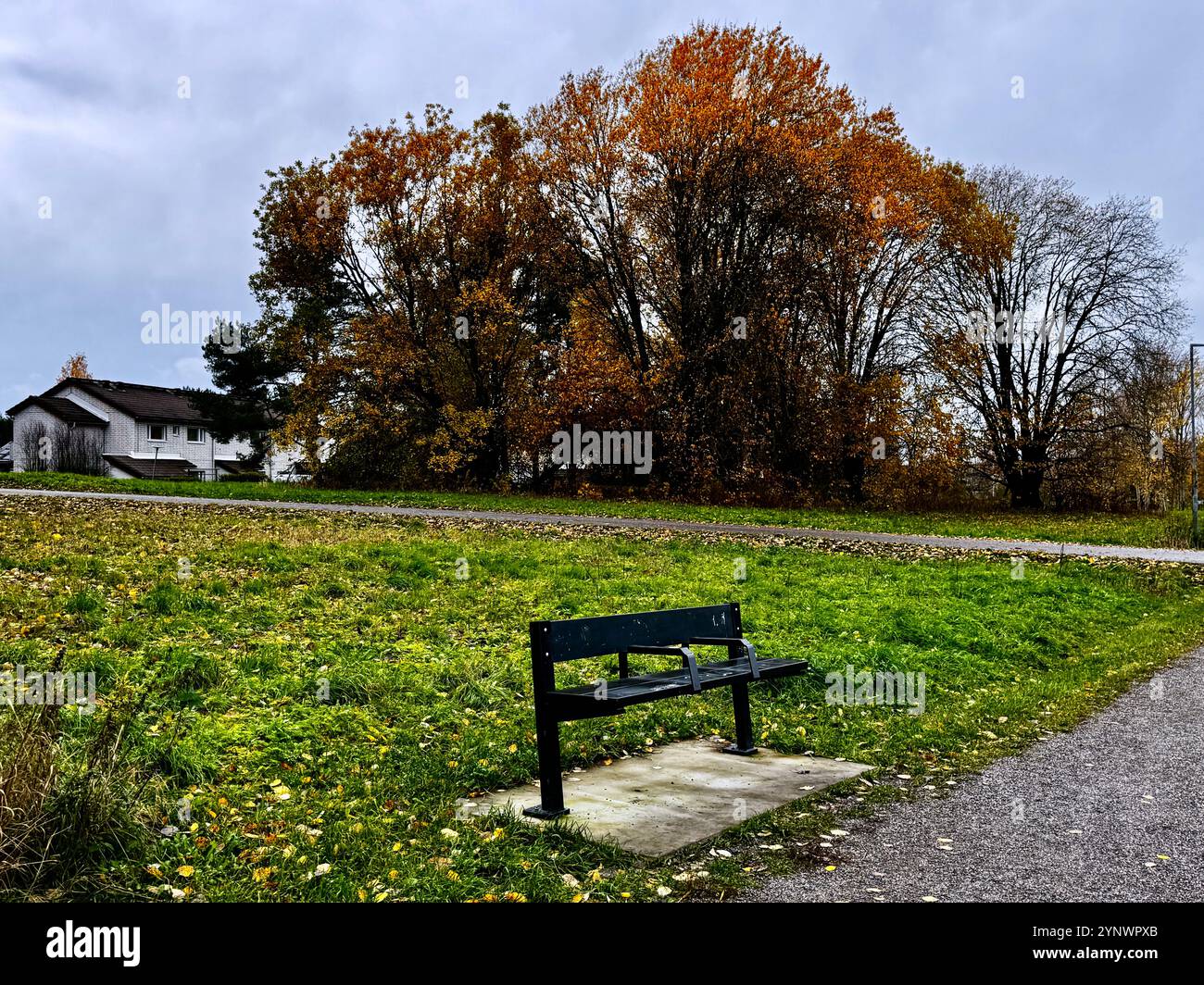 Lonely Bench in Finnish Autumn  A solitary bench framed by vibrant autumn trees, under a moody, cloudy sky in a serene countryside park - Smartphone Captured Stock Image