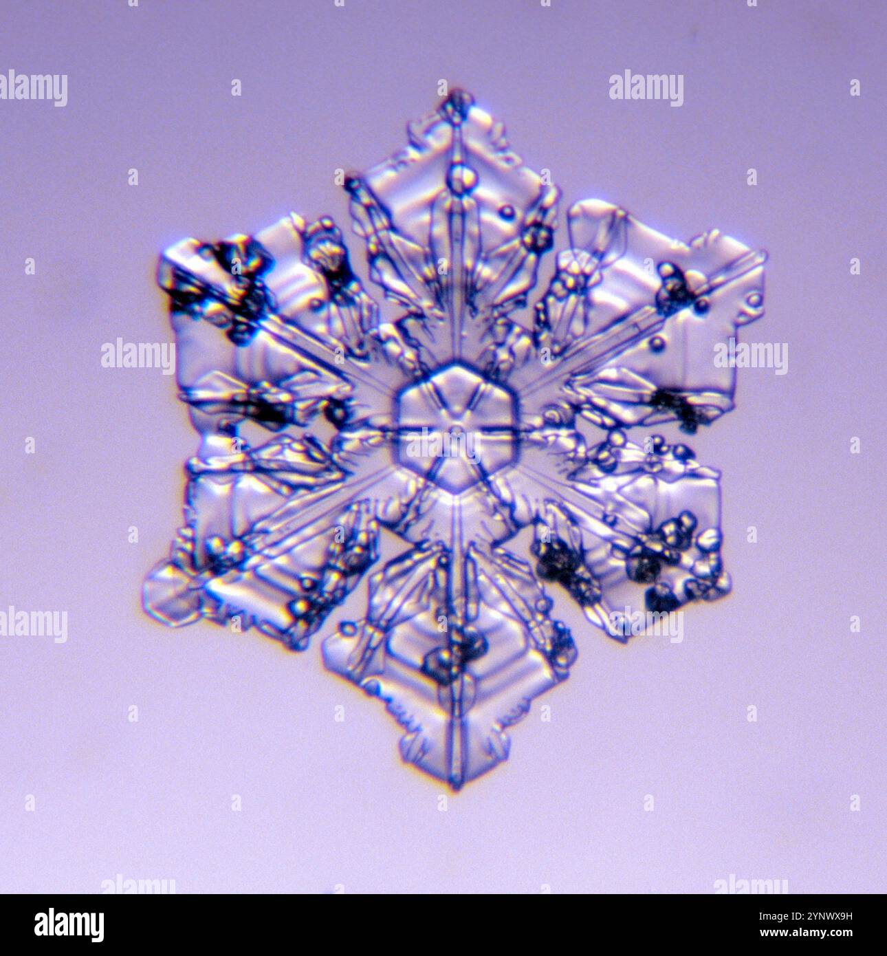 Snow crystal in close-up Stock Photo