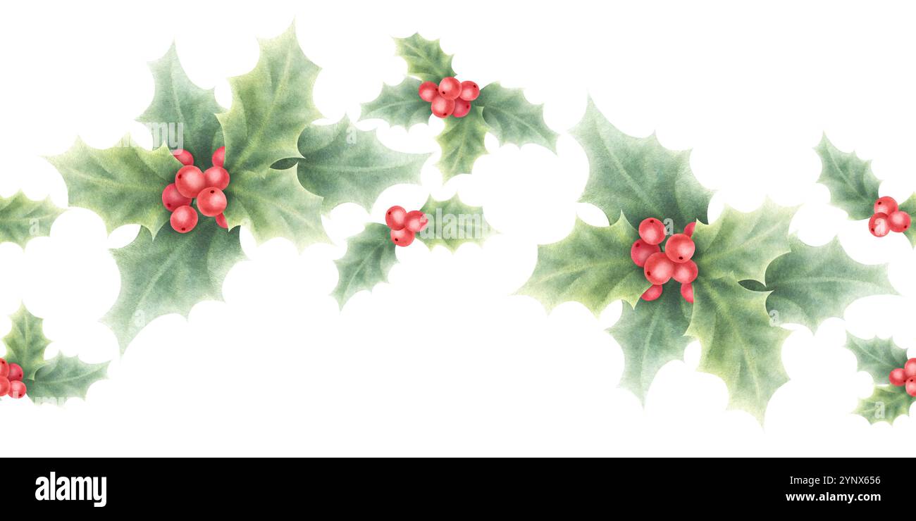 Christmas holly red berries and green leaves watercolor isolated ...