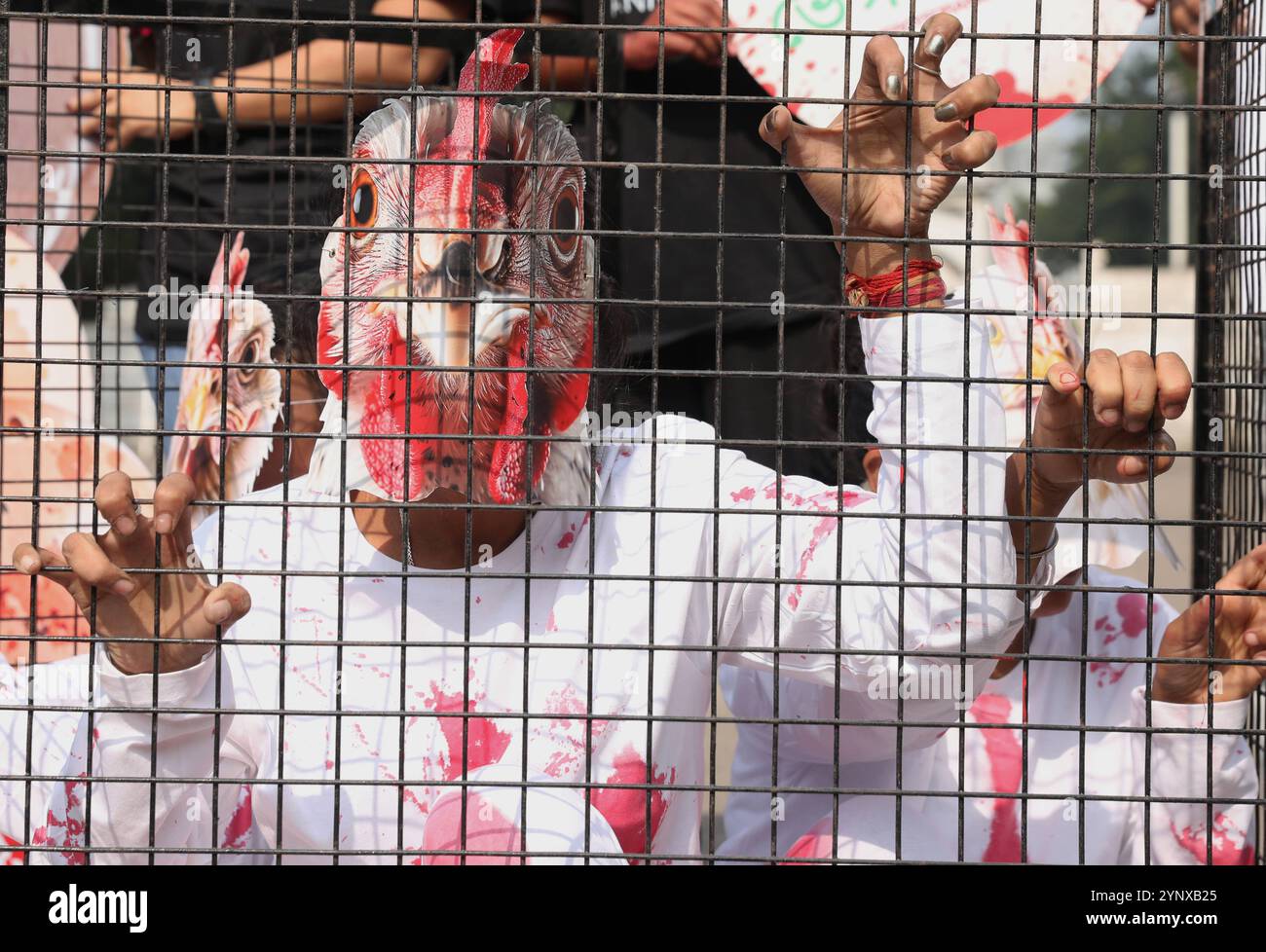Mercy For Animals MFA, demonstration in Kolkata, India Activists from ...