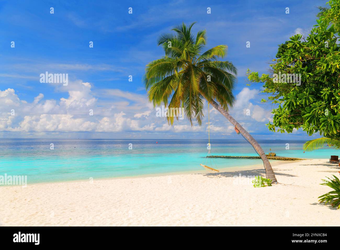 Dreamlike beach with palm trees in the Maldives. Baa Atoll, Asia Stock ...