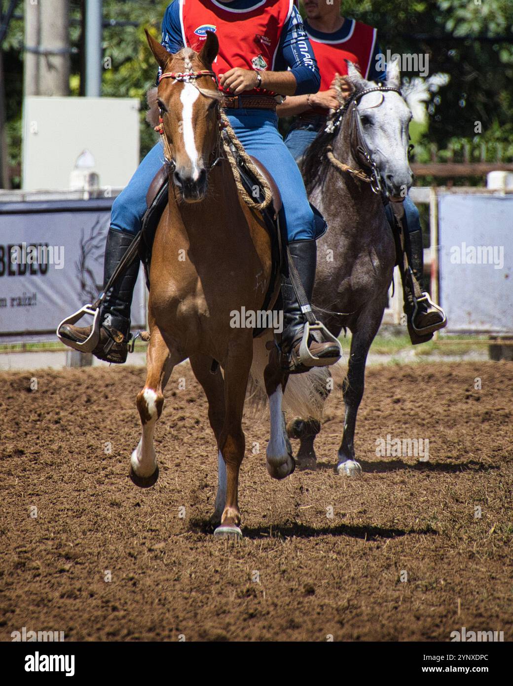 Two men are riding horses in a race. One horse is brown and the other ...