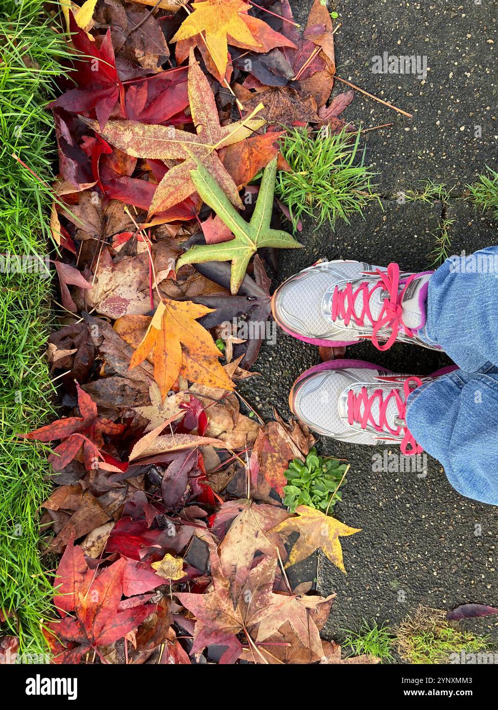 Green grass and fall leaves with running shoes and jeans. Fall colors of red, yellow and brown contrast with the grass. - Smartphone Captured Stock Image