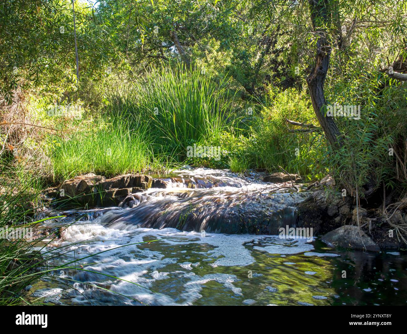 Mission trails regional park san diego hi-res stock photography and ...