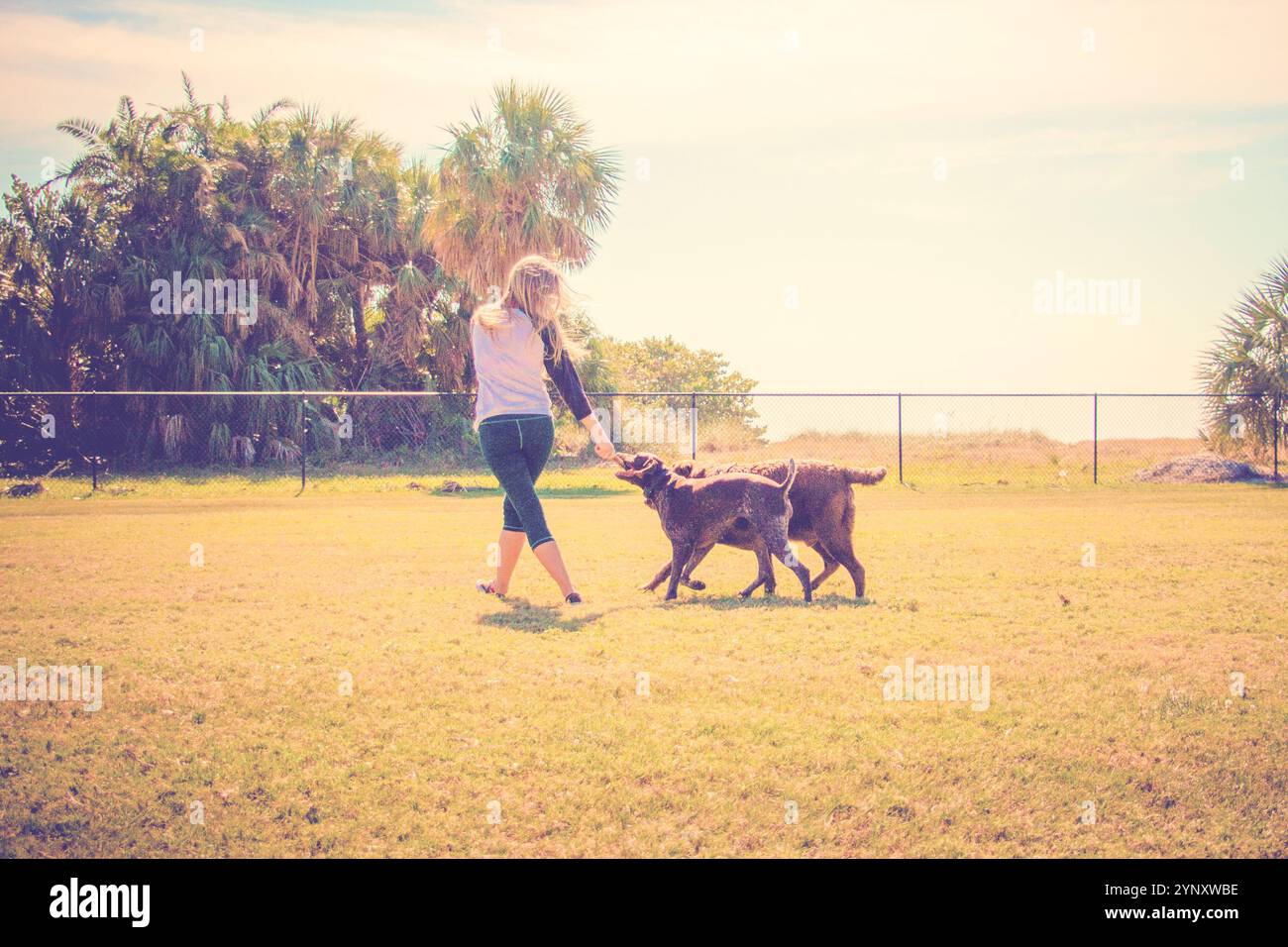 Woman playing two dogs hi-res stock photography and images - Alamy