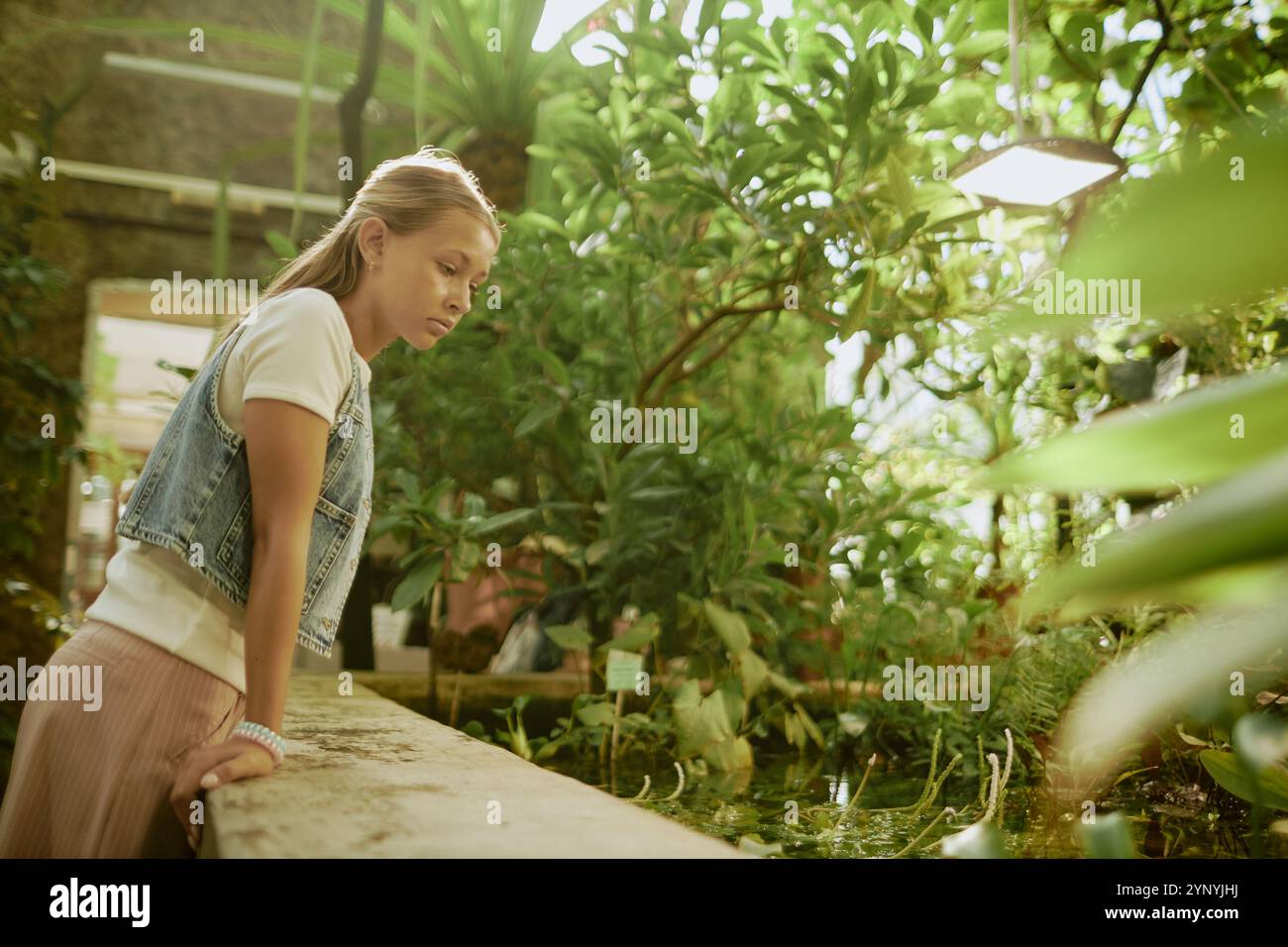 Greenhouse aquatic plants hi-res stock photography and images - Alamy