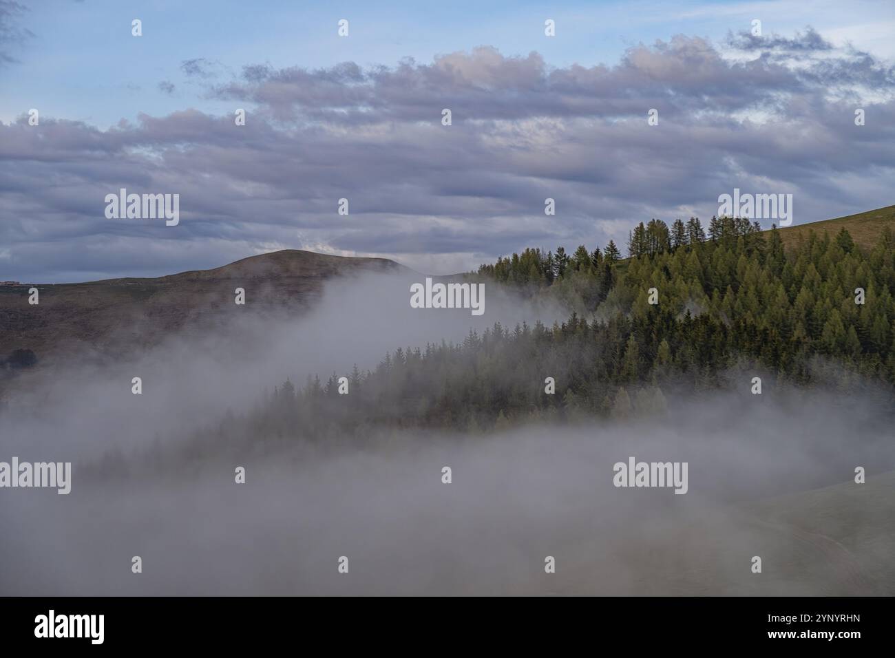 Pre alpine ridge with fog hi-res stock photography and images - Alamy