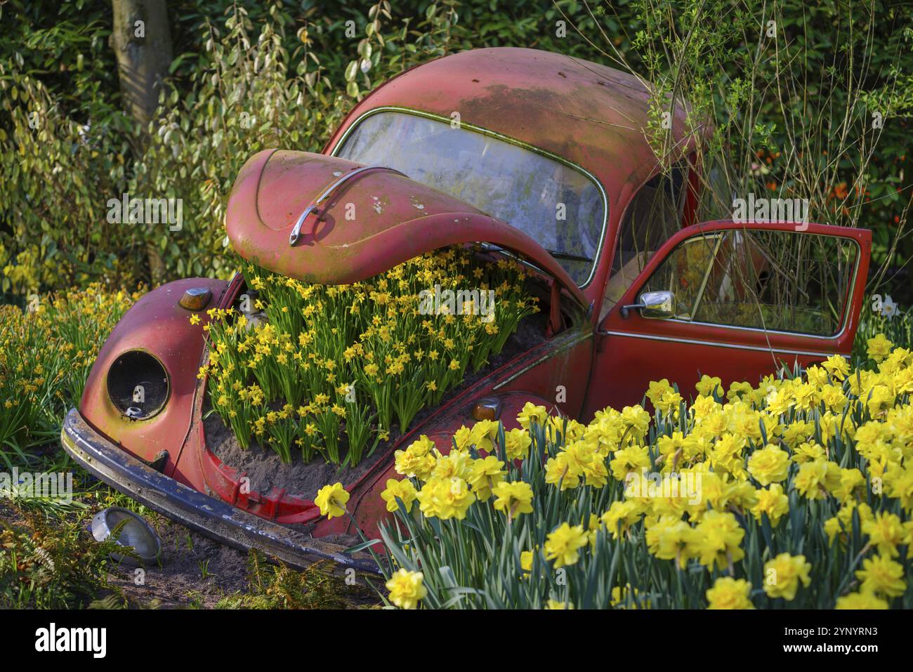 Yellow vw beetle with flowers hi-res stock photography and images - Alamy