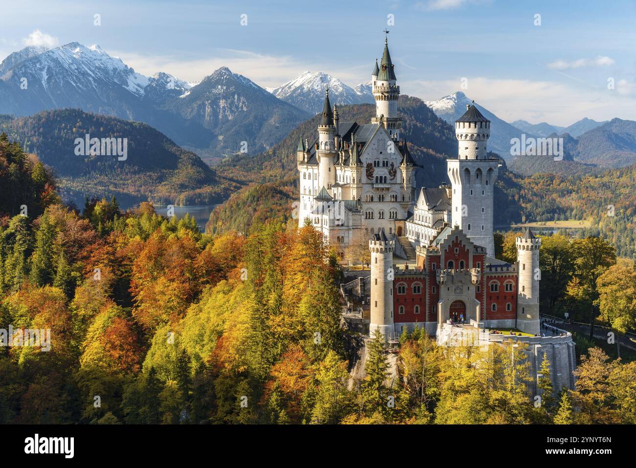 Castle Schloss Neuschwanstein in Autumn with beautiful fall colors and snow on the mountain peaks Stock Photo