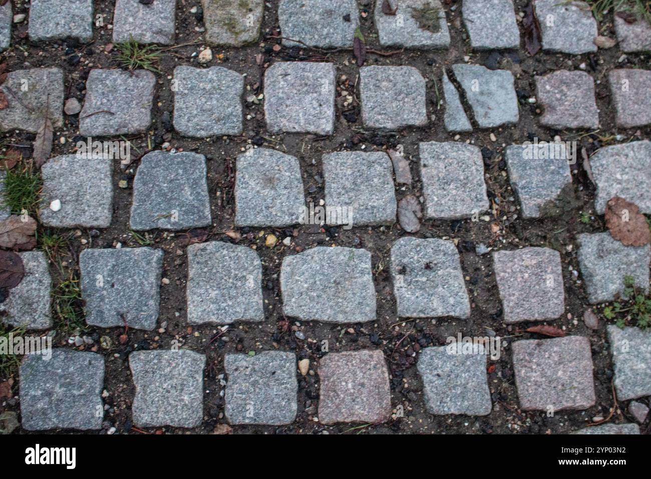 Copenhagen, Amager, Denmark. 27th Nov, 2024. Cobblestone and grass ...