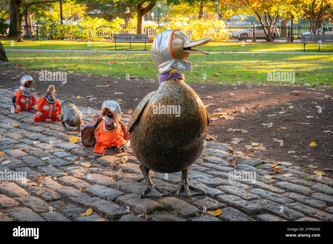 Boston Common And Public Garden Ducks In Boston Commons Park Boston Boston Common And Public Garden Ducks In Boston Commons Park Boston